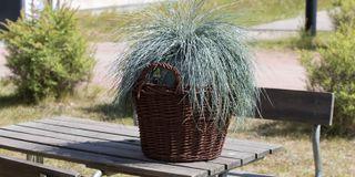 RUST EFFECT, sprej s efektem rzi, MASTON