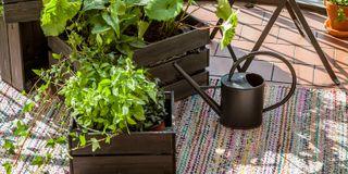 PATIO VERSO, olej na dřevo, TIKKURILA