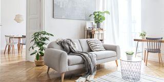 WALL SEALER BLUE NON-DRIP - Penetrační nátěr od výrobce Flügger