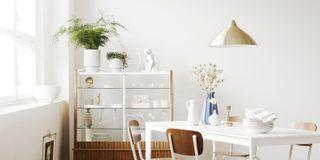 PRIMALEX PLUS, bíla barva