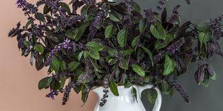 OPTIVA 20 SEMI MATT, omyvatelná barva, TIKKURILA