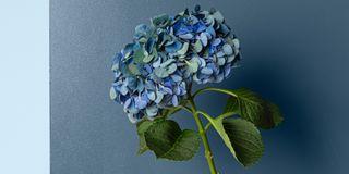 FEELINGS INTERIOR PAINT, omyvatelná barva, TIKKURILA