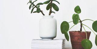 SPRAYPAINT MASTON FURNITURE CHALK