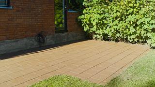 Elite prodlužovací tyč, ANZA